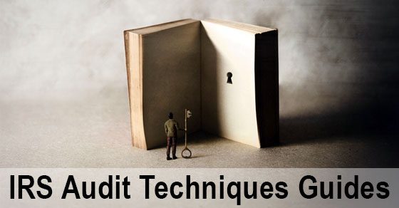 IRS Audit Techniques Guides